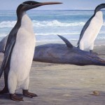 kairuku penguin Artwork by Chris Gaskin