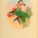 20130501-213317.jpg