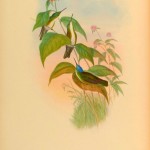 20130501-214212.jpg