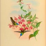 20130501-215834.jpg