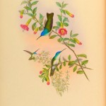 20130501-220448.jpg