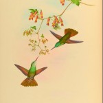 20130501-220954.jpg