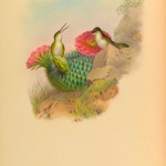20130501-222426.jpg