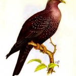 20130502-105248.jpg