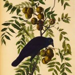 20130502-111723.jpg