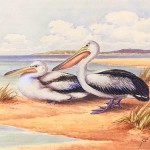 20130502-115721.jpg