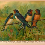 20130502-140055.jpg