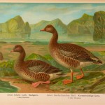 20130502-224938.jpg