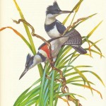 20130502-232605.jpg