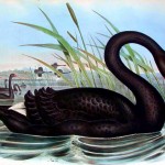 20130503-155647.jpg