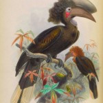 20130503-165631.jpg