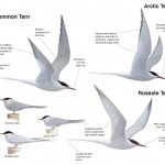 20130503-223344.jpg