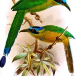 20130504-135846.jpg