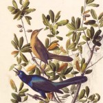 20130504-203237.jpg