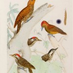 20130505-160856.jpg