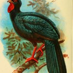 20130505-171622.jpg