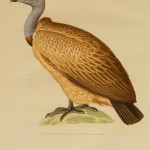 20130505-221449.jpg
