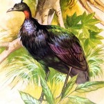 20130506-201955.jpg