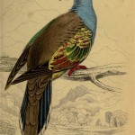 20130509-190930.jpg