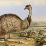 20130509-224931.jpg