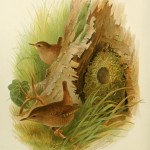 20130511-161523.jpg