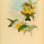 20130512-003458.jpg