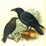 20130519-132105.jpg