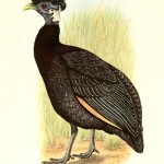 20130520-203456.jpg