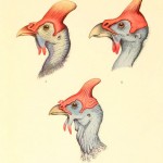 20130520-233836.jpg