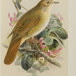20130521-225313.jpg