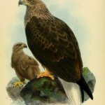 20130522-002736.jpg