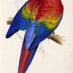 20130522-213605.jpg