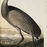 20130524-014738.jpg