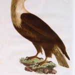20130527-215102.jpg